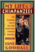 My Life with the Chimpanzees by Jane Goodall